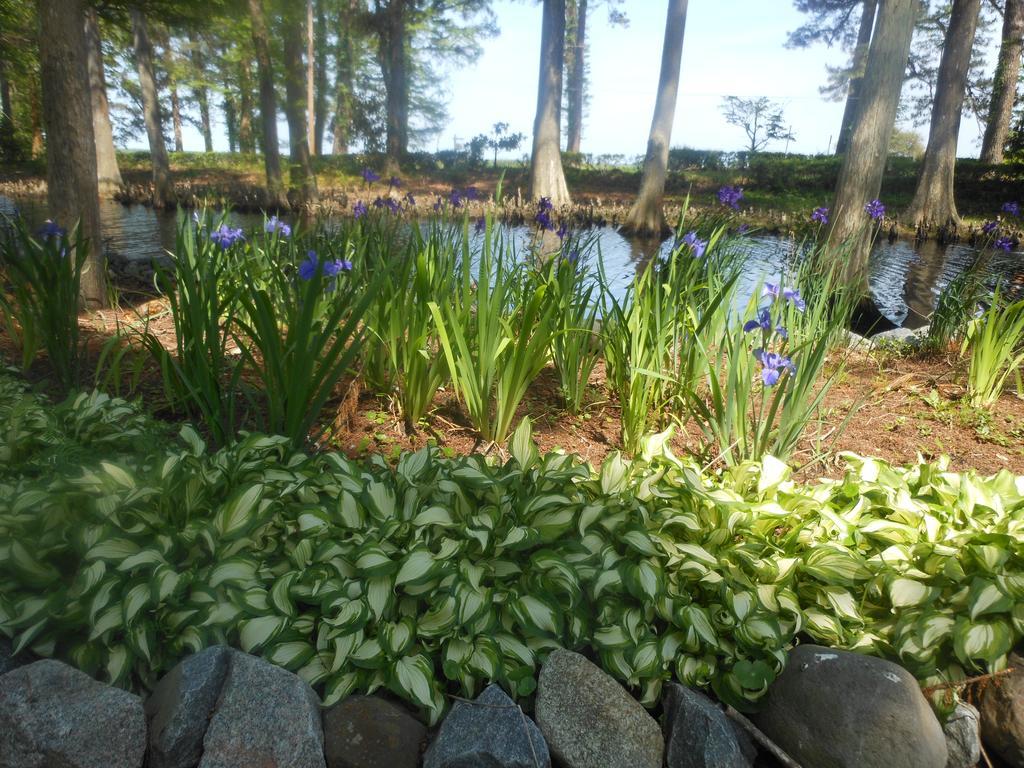 The Pond House Inn Elizabeth City Exterior foto